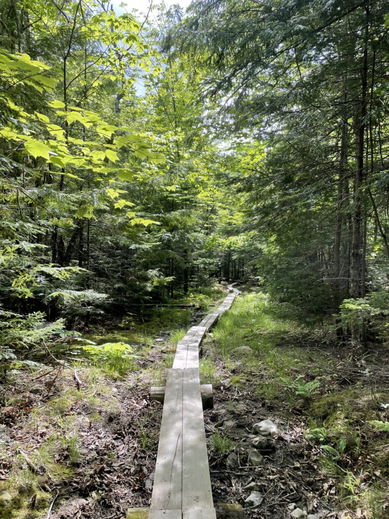 campground trail