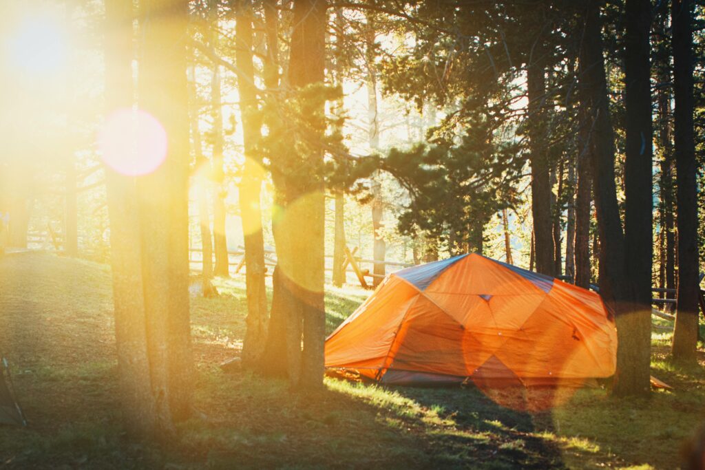 Discovering your perfect camping style. Orange tent in a sunlit forest, perfect for a summer camping adventure.