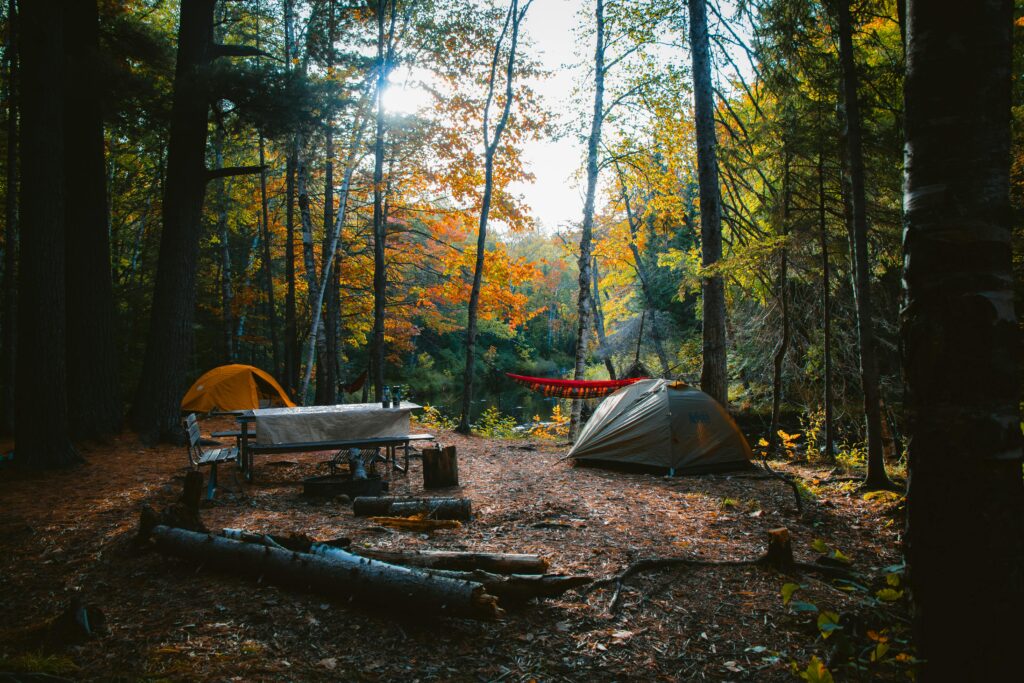 camping resources, A serene camping site in a colorful autumn forest, featuring tents and campfire setup.