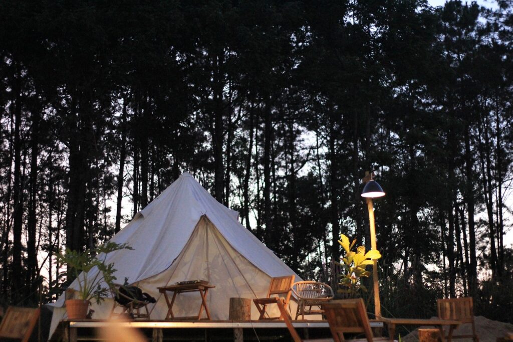 glamping, camping, tent, woods, forest, morning, glamping, glamping, glamping, glamping, glamping